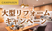CAMPAIGN