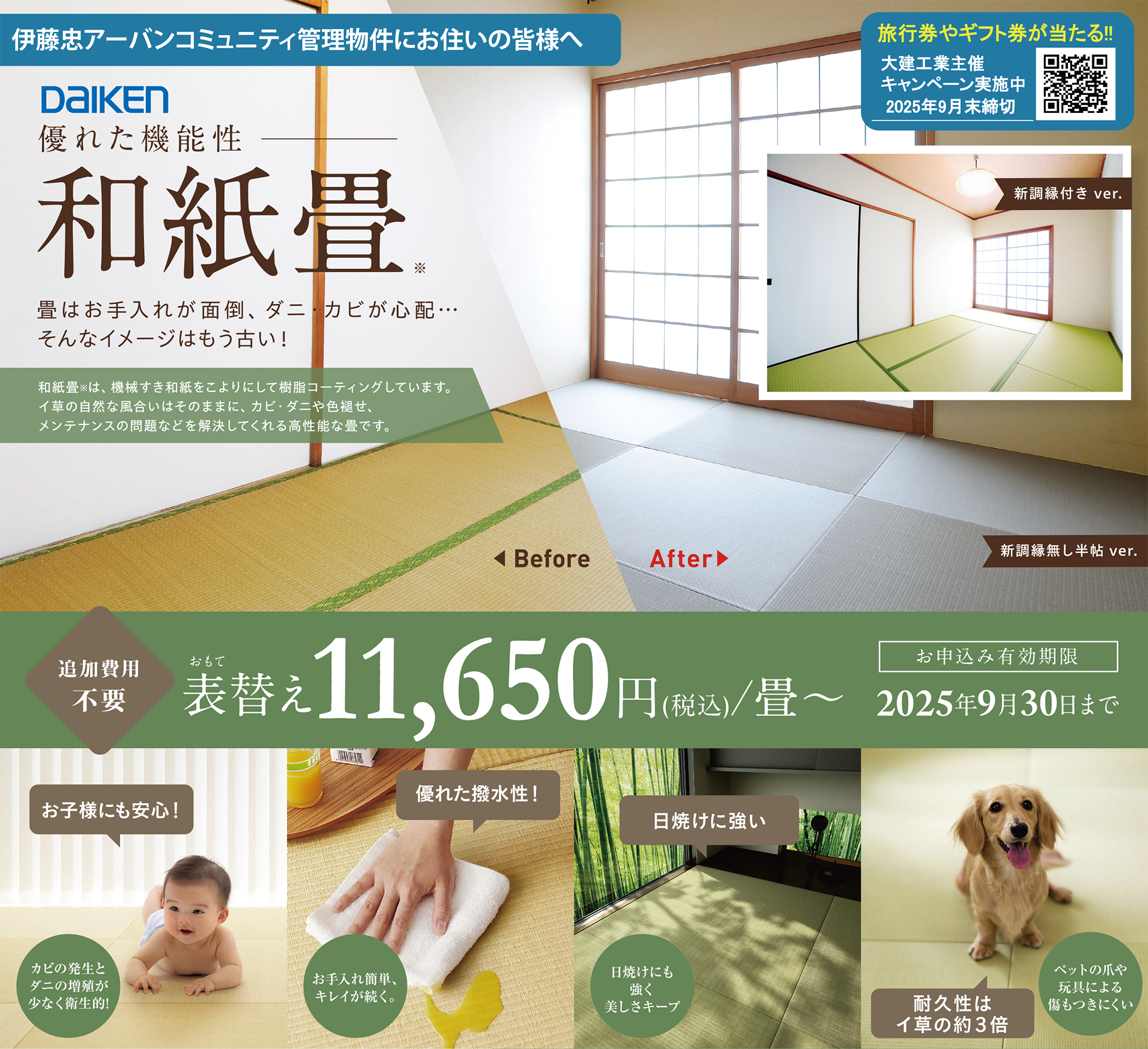 和紙畳キャンペーン