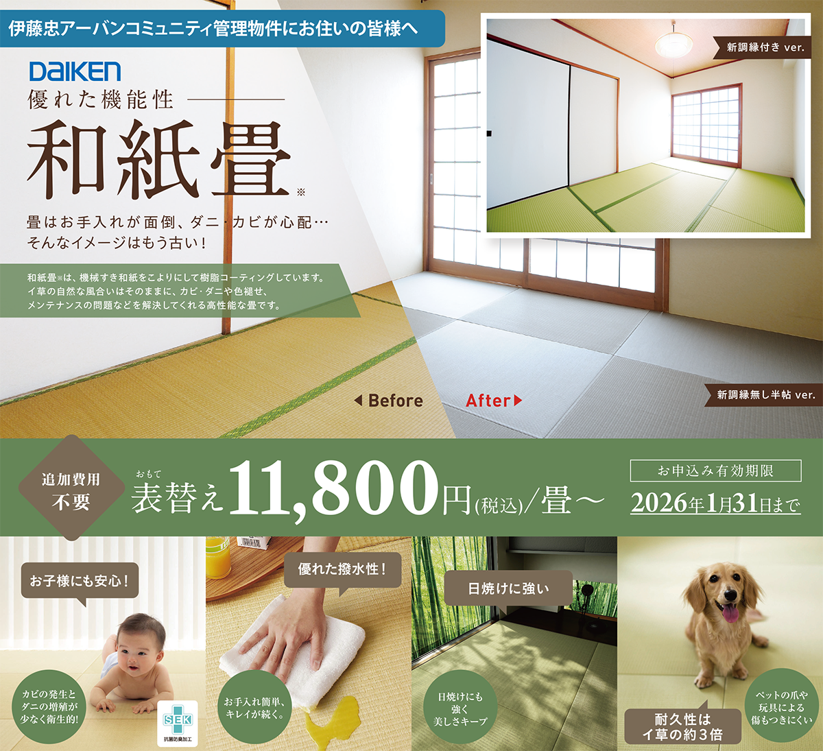 和紙畳キャンペーン