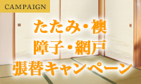 CAMPAIGN